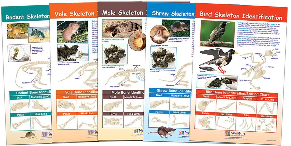 CHARTS BB MS PREY IDENTIFICATION SET/5