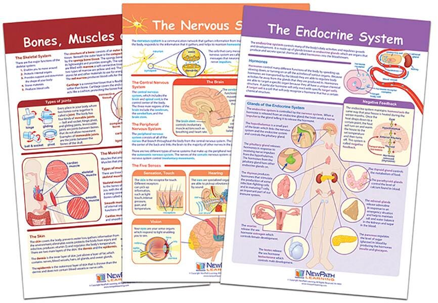 CHARTS BB MS MOVING + CONTROLLING BODY SET/3