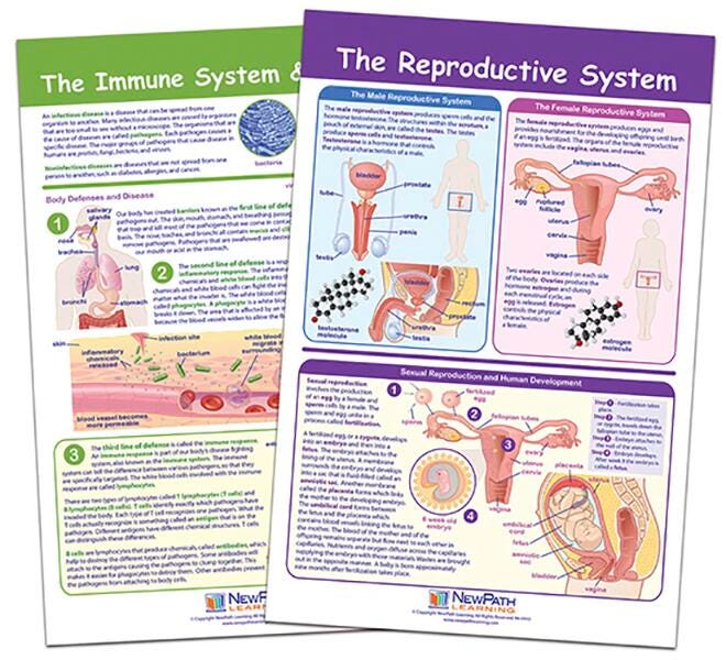 CHARTS BB MS MAINTAINING LIFE SET/2