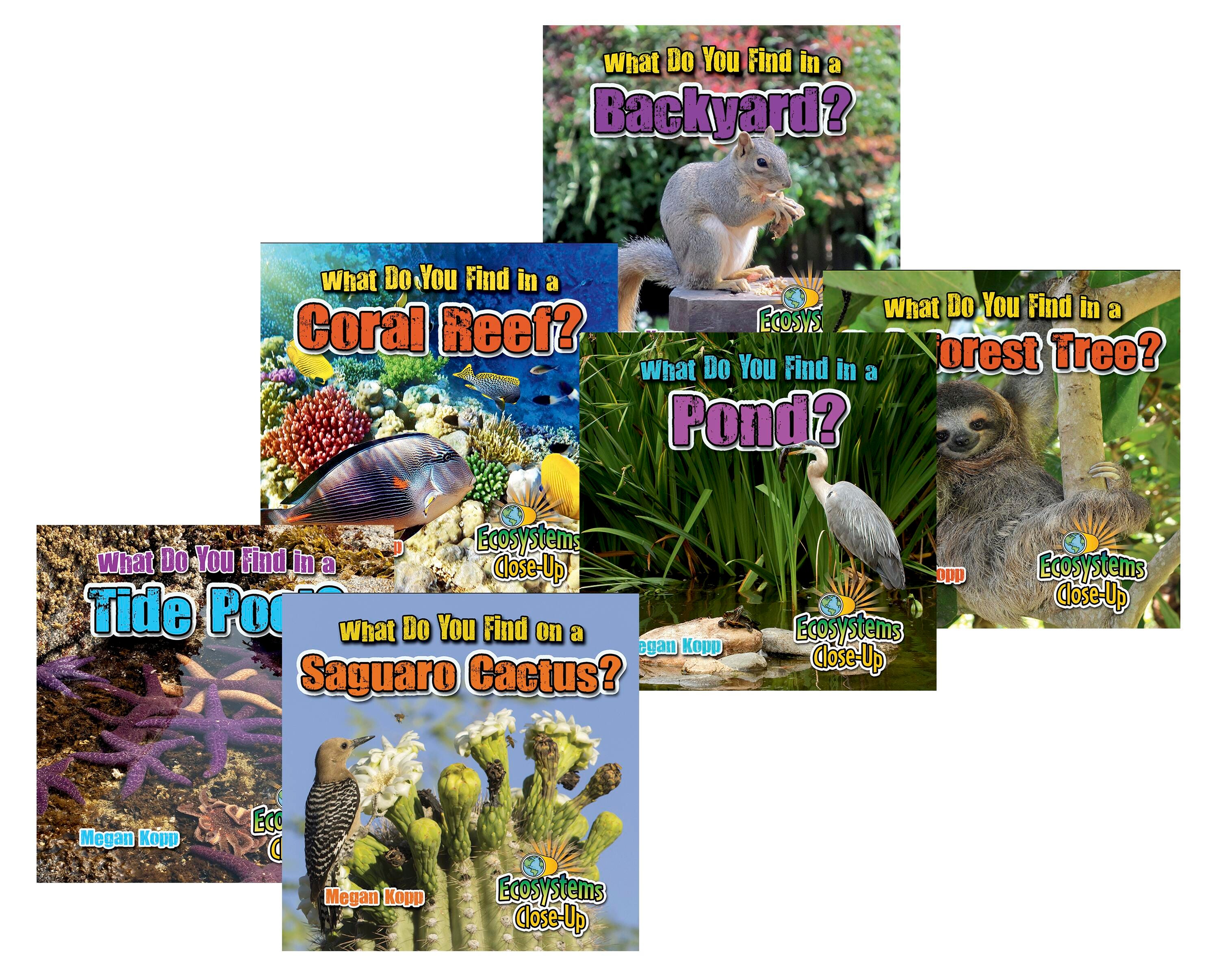 DISC-BOOK ECOSYSTEMS CLOSE UP SET OF 6