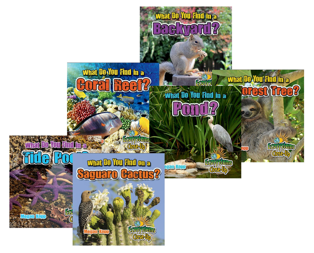 DISC-BOOK ECOSYSTEMS CLOSE UP SET OF 6