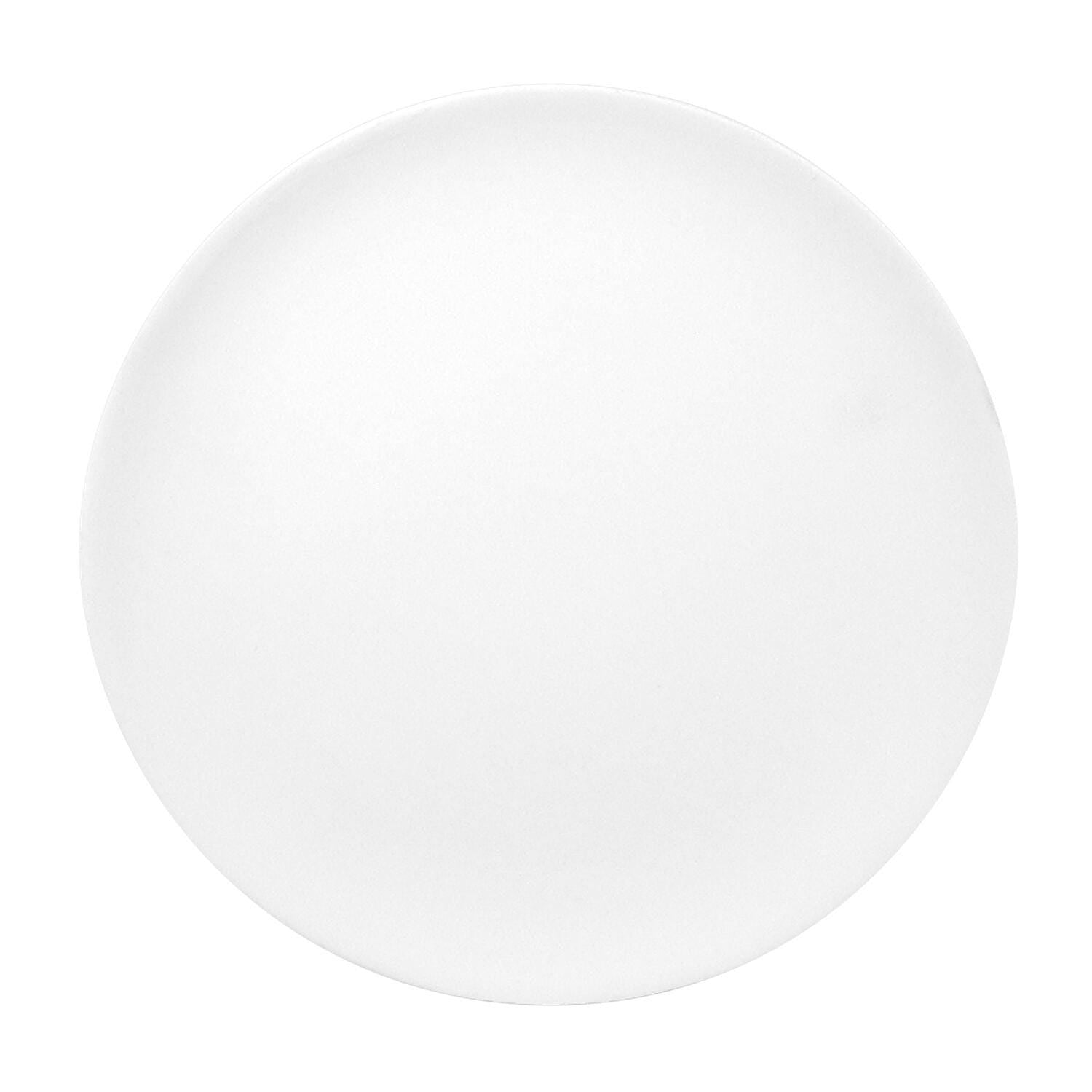 BISQUE COUPE DINNER PLATE PACK OF 12