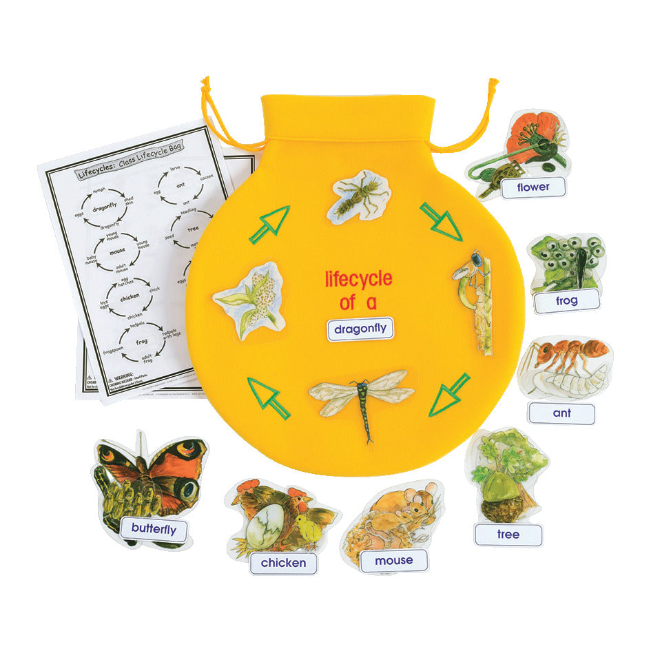 Class Lifecycle Set In A Bag