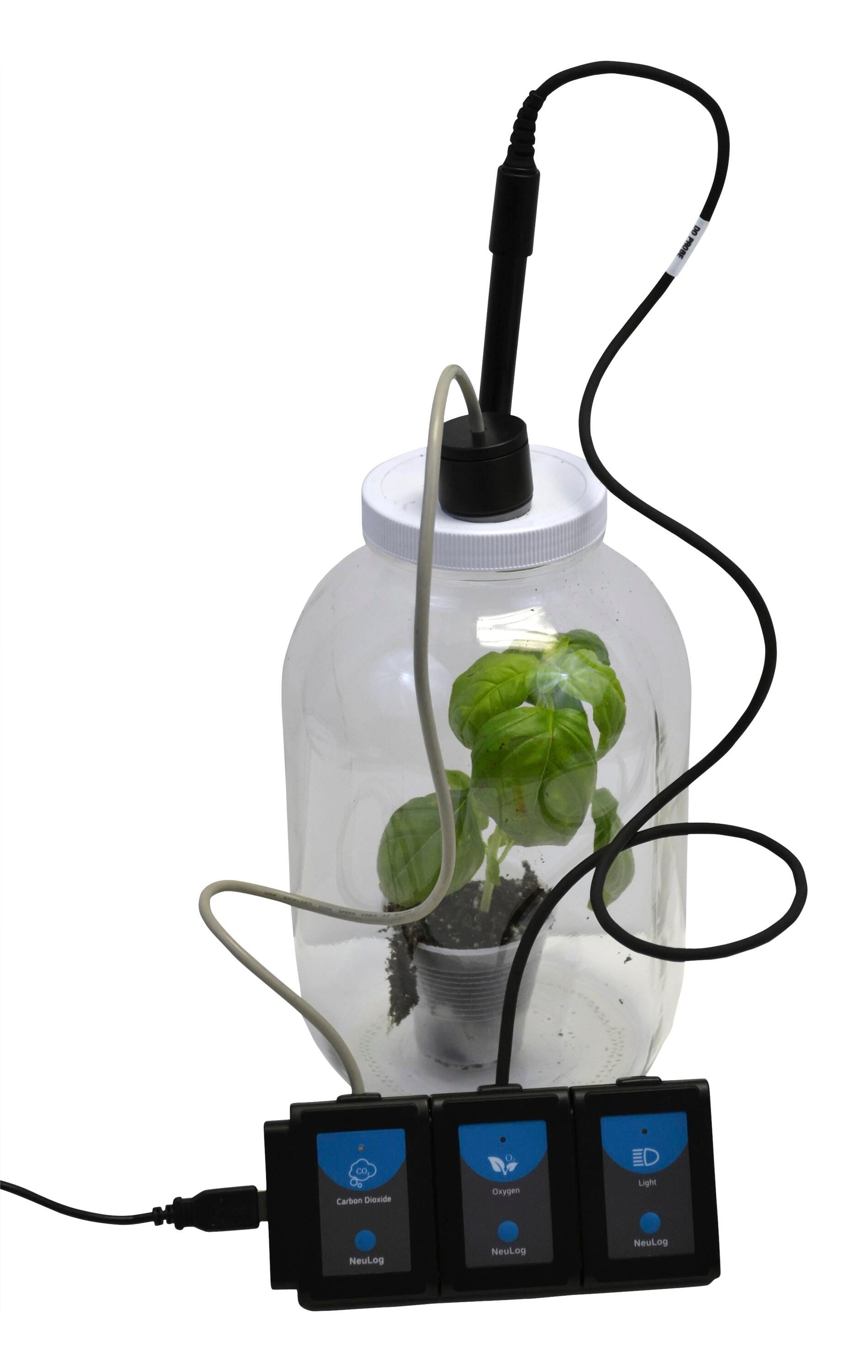KIT - PHOTOSYNTHESIS AND RESPIRATION CHAMBER USE W/PROBEWARE