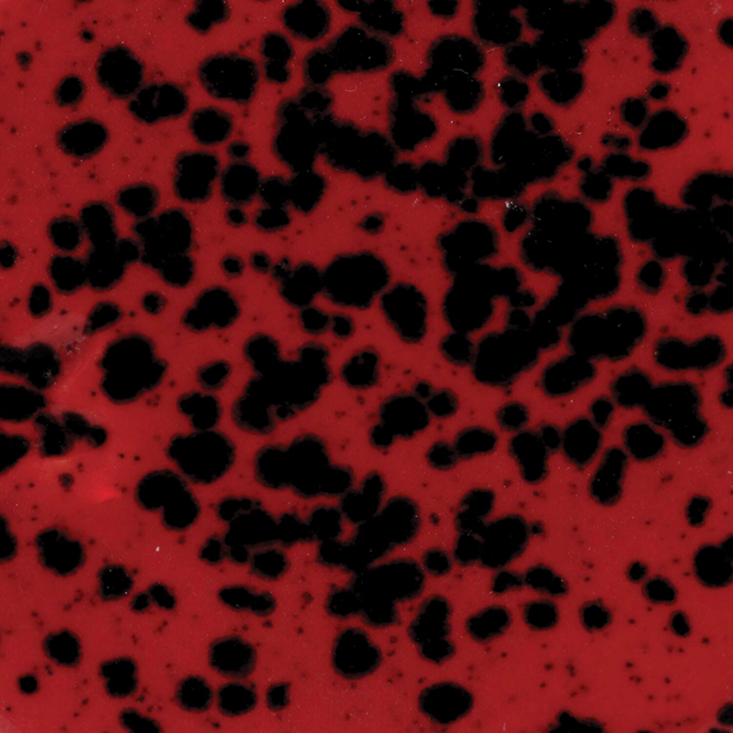 GLAZE MAYCO JUNGLE GEMS CG-984 LADYBUG PINT