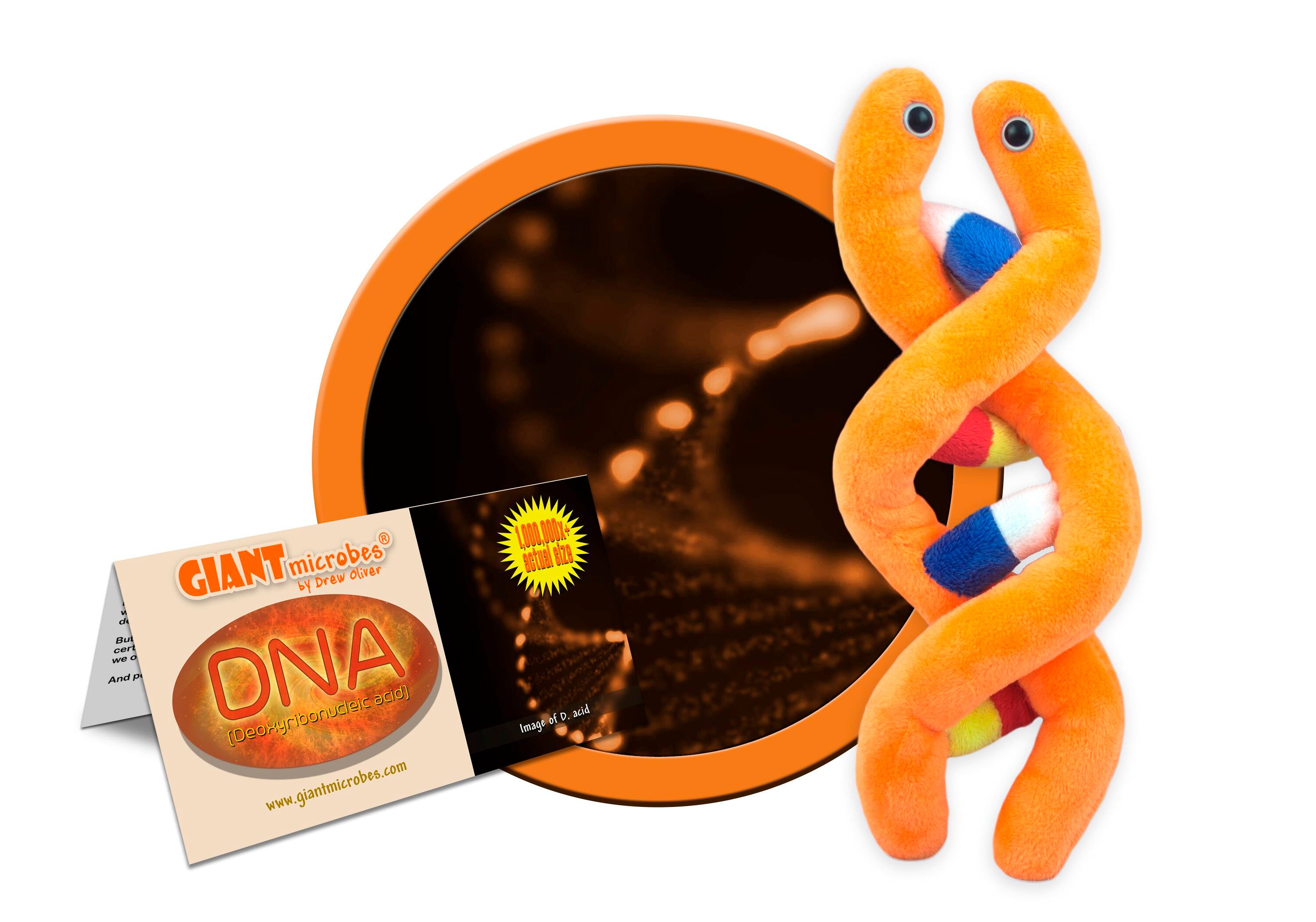 PLUSH DNA