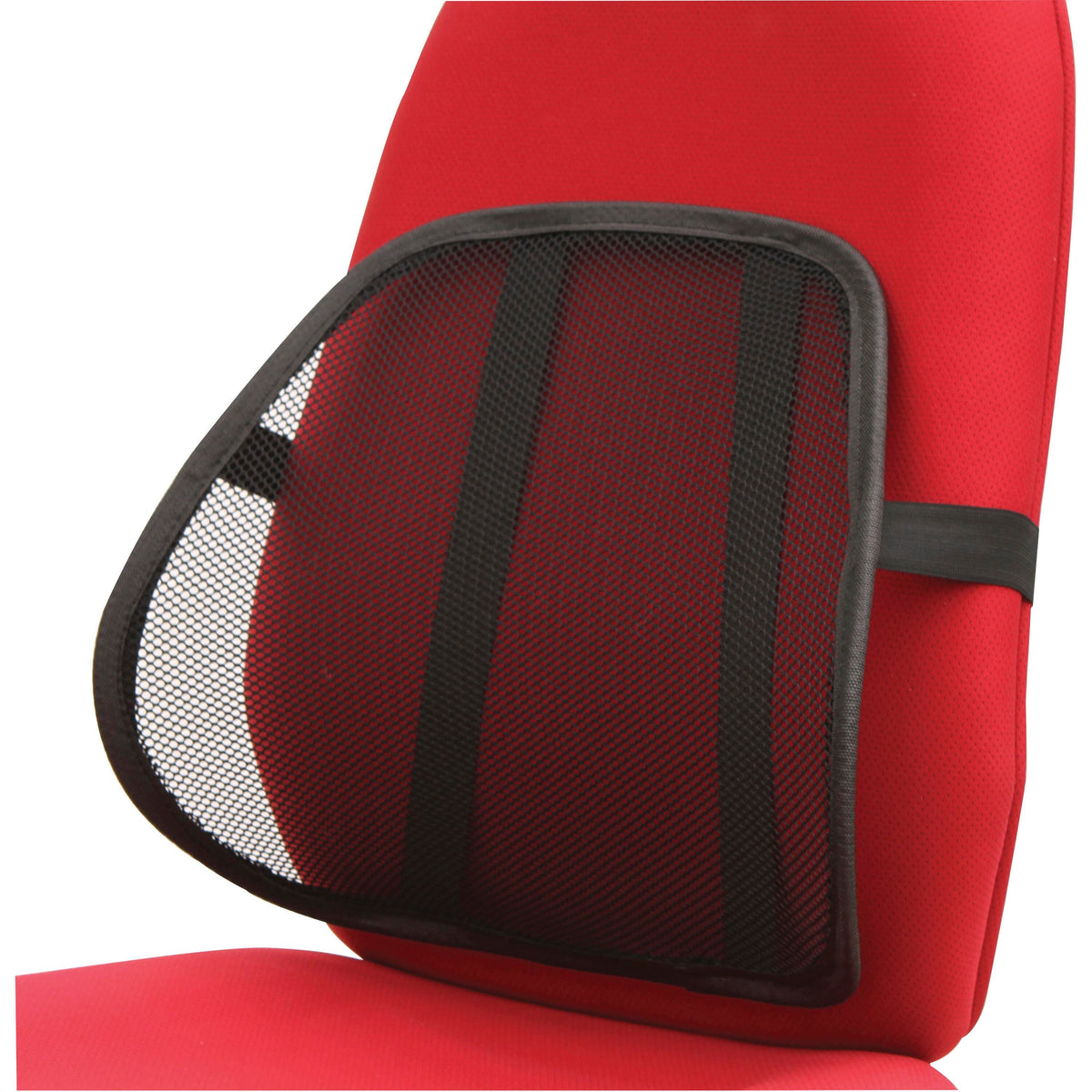 SUPPORT - LUMBAR - MESH