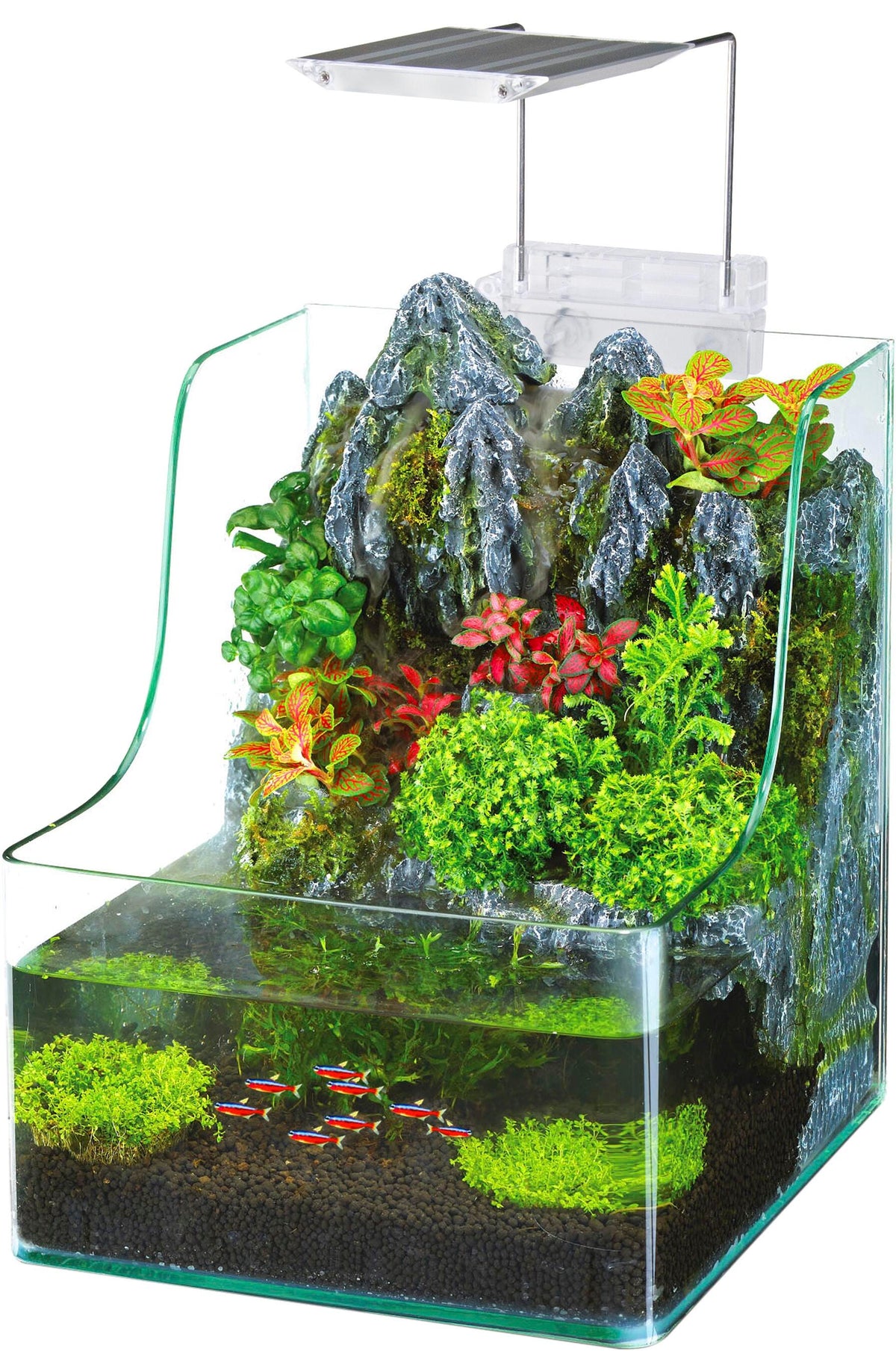 AQUATERRIUM PLANTING TANK