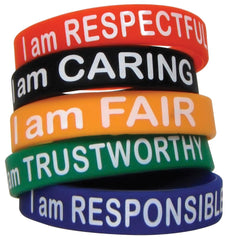 WRISTBANDS CHARACTER TRAITS PACK OF 10