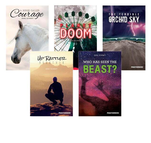 BOOK SET PAGETURNERS ADVENTURE