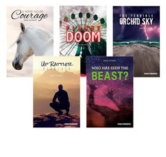 BOOK SET PAGETURNERS ADVENTURE