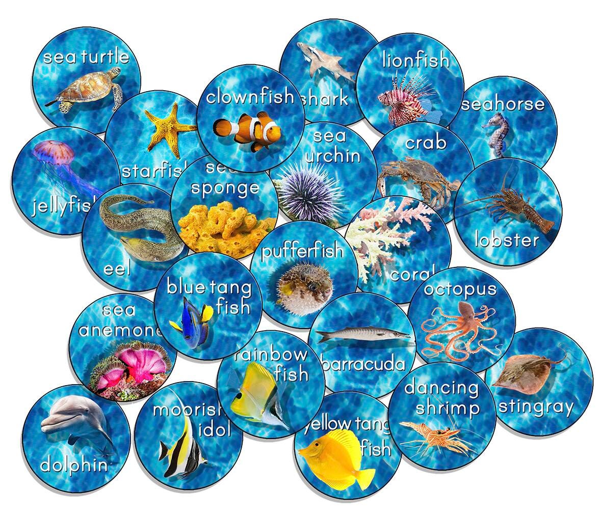 FLAGSHIP CARPETS - INTO THE SEA STOW-N-GO - SET OF 24 - 16-INCH ROUNDS - BLUE COLOR