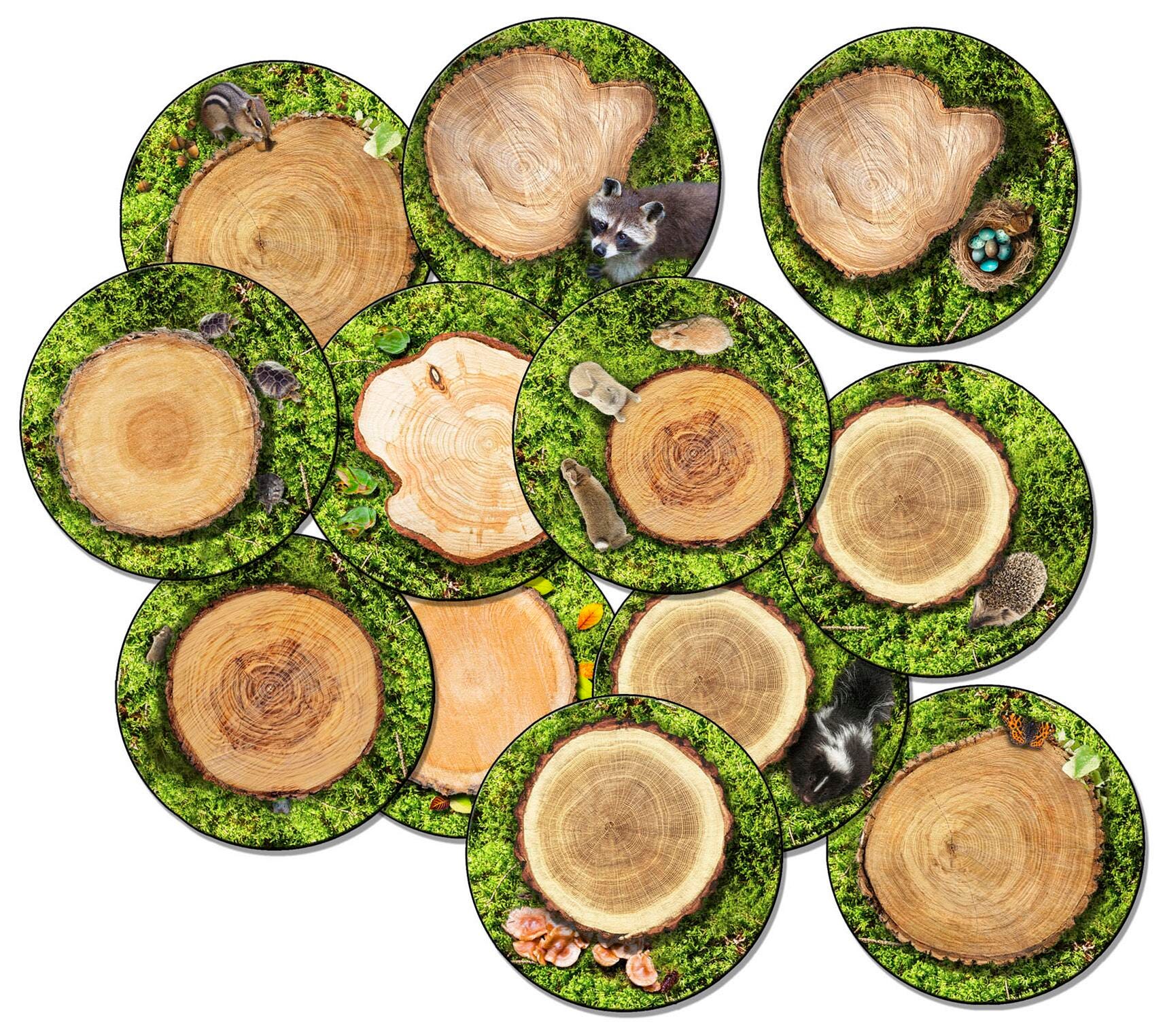 FLAGSHIP CARPETS - FOREST FLOOR STOW-N-GO - 16-INCH ROUNDS - SET OF 12