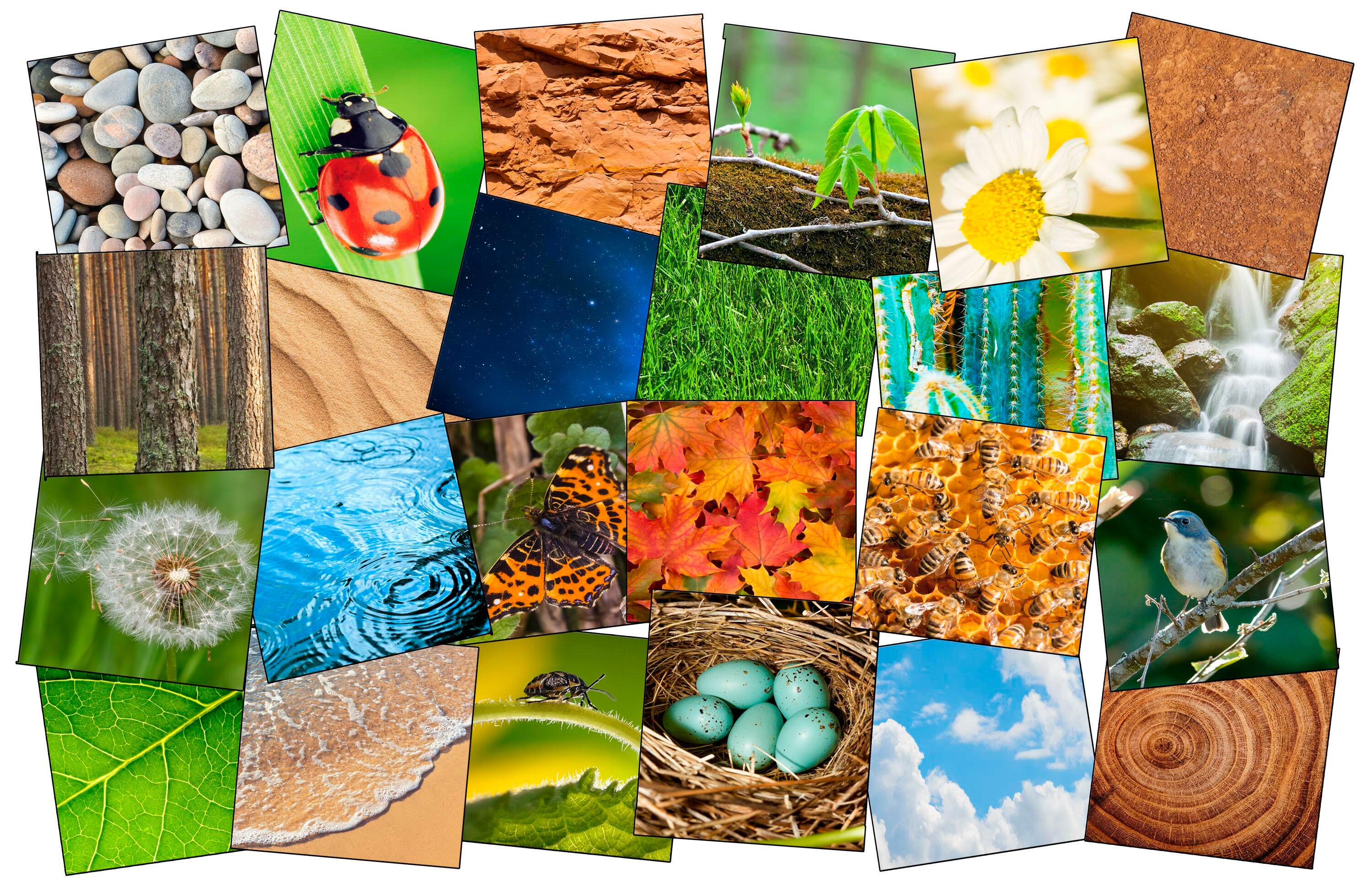 FLAGSHIP CARPETS - NATURES BEAUTY SEATING - SET OF 24 - 16-INCH SQUARES - NATURE COLOR