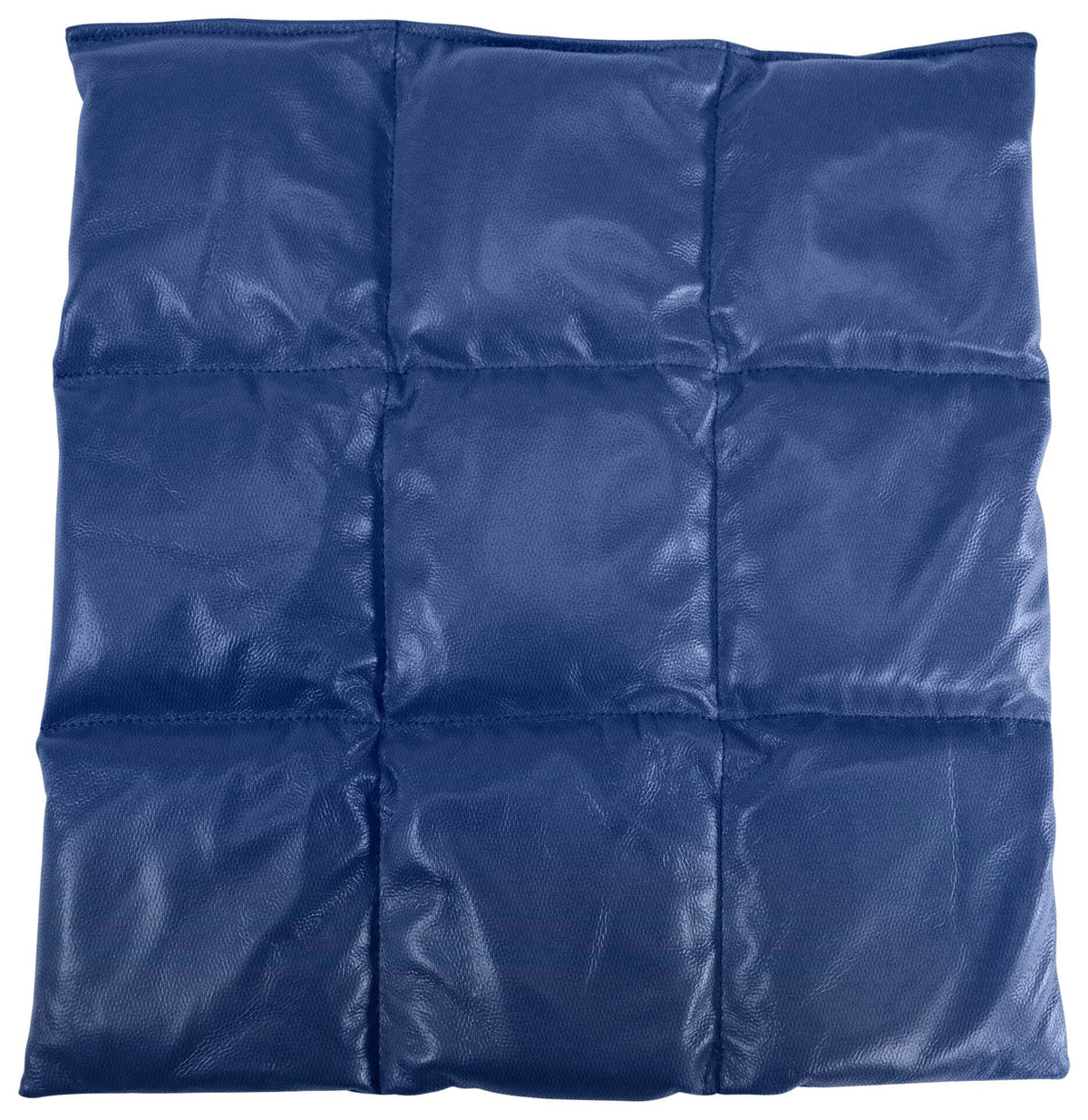 ABILITATIONS VINYL WEIGHTED MEDIUM LAP PAD BLUE