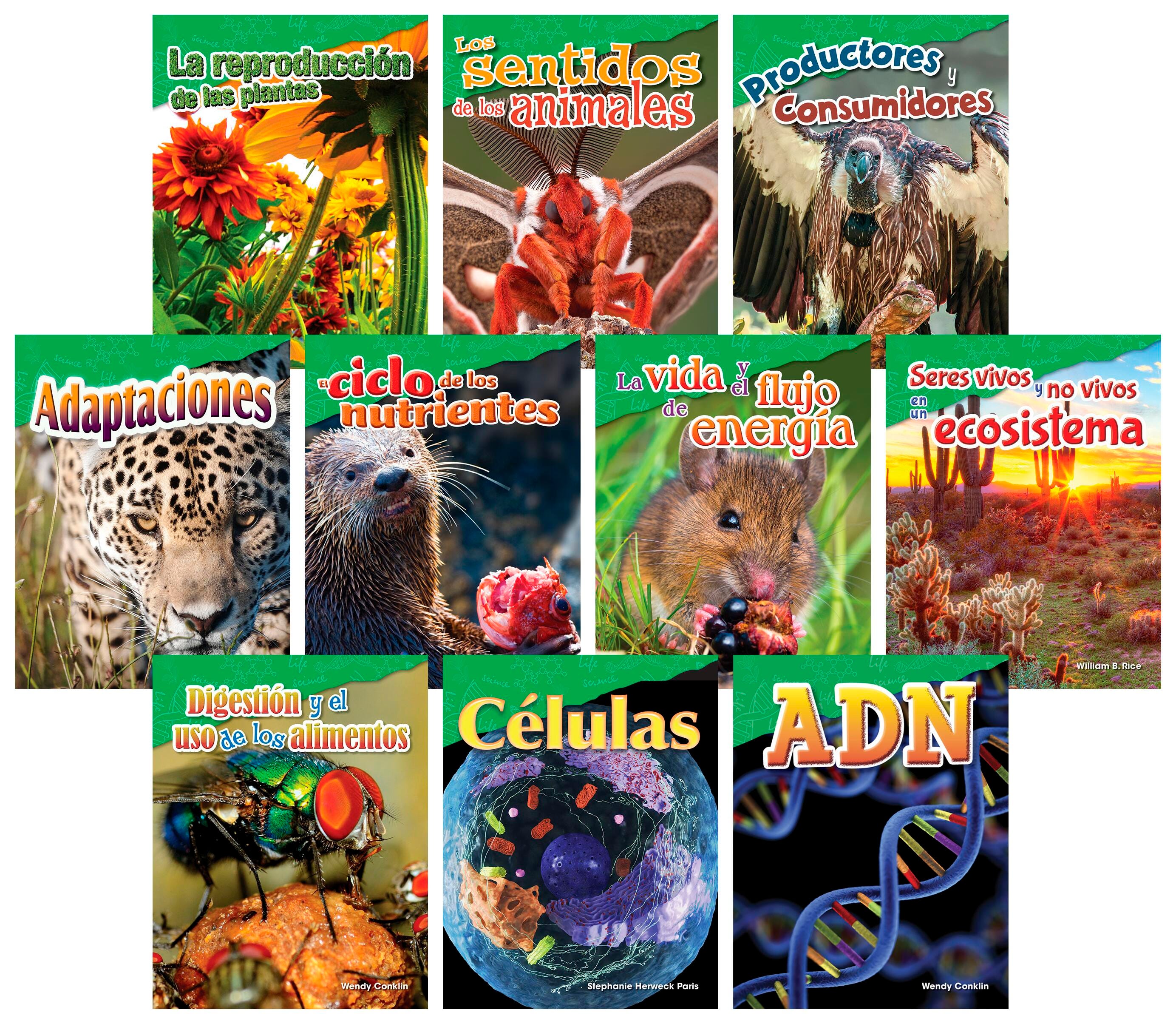 BOOKS LETS EXPLORE LIFE SCIENCE GR 4-5 SPANISH SET OF 10