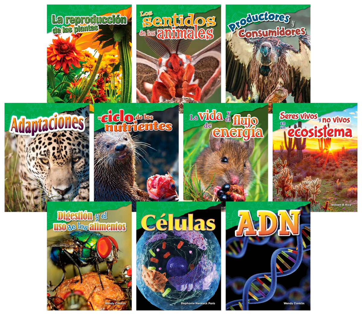 BOOKS LETS EXPLORE LIFE SCIENCE GR 4-5 SPANISH SET OF 10