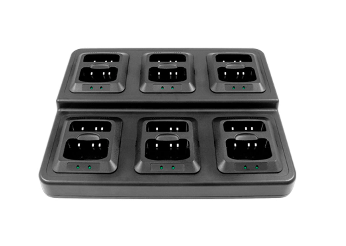 BIZTALK GANG CHARGER FOR BR200