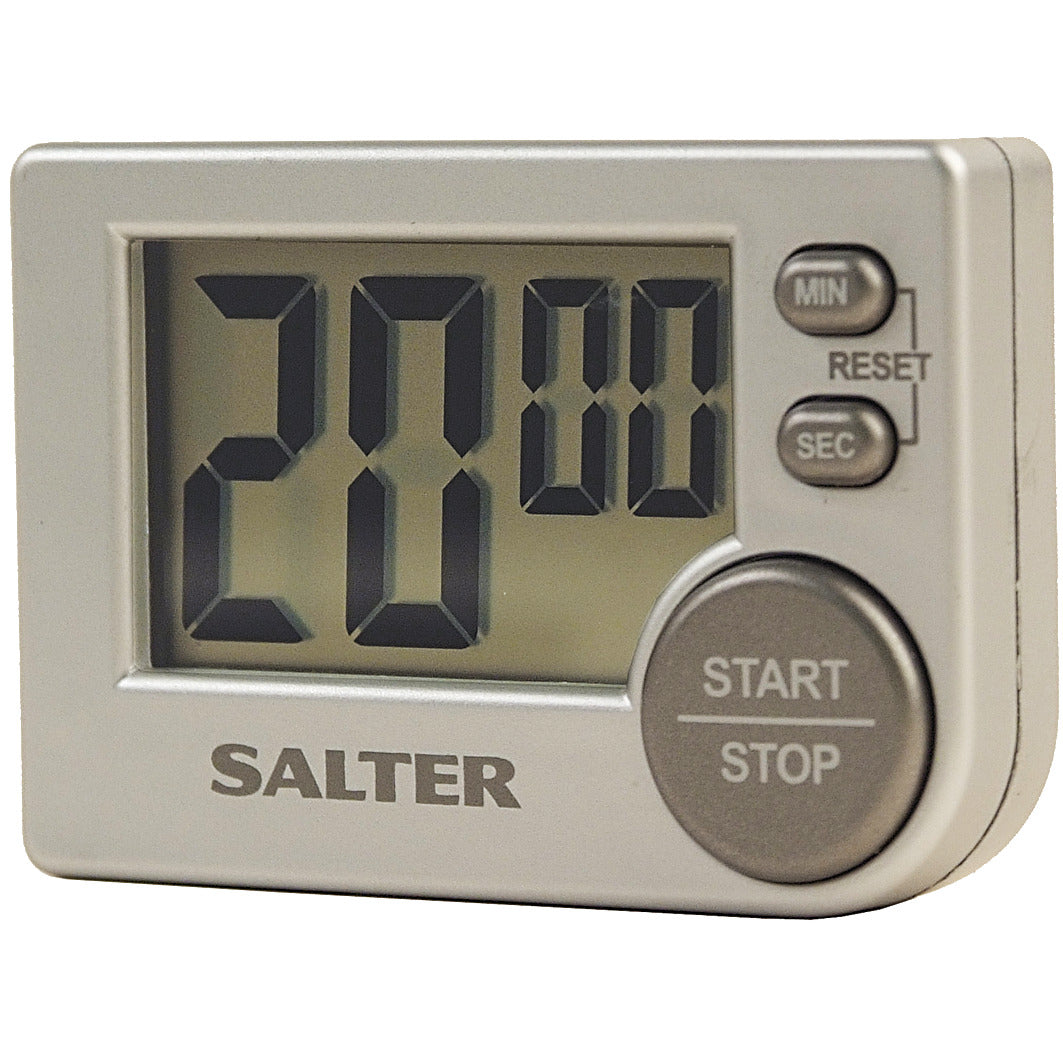 Salter Big Button Timer