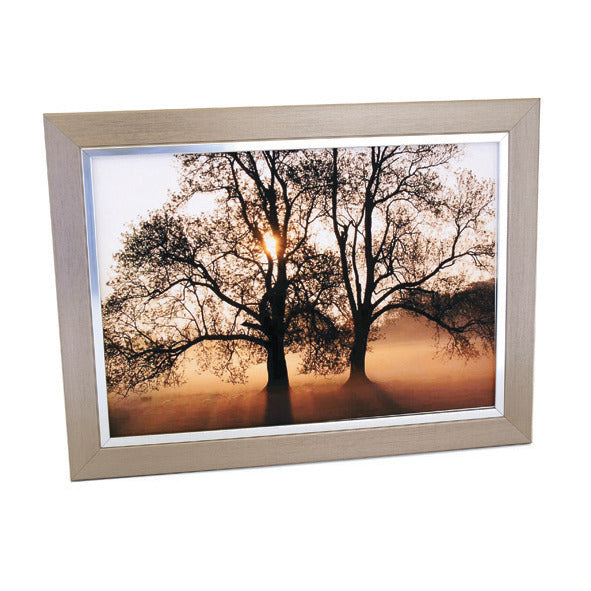 Frame Galaxy Pewter/Silver A4