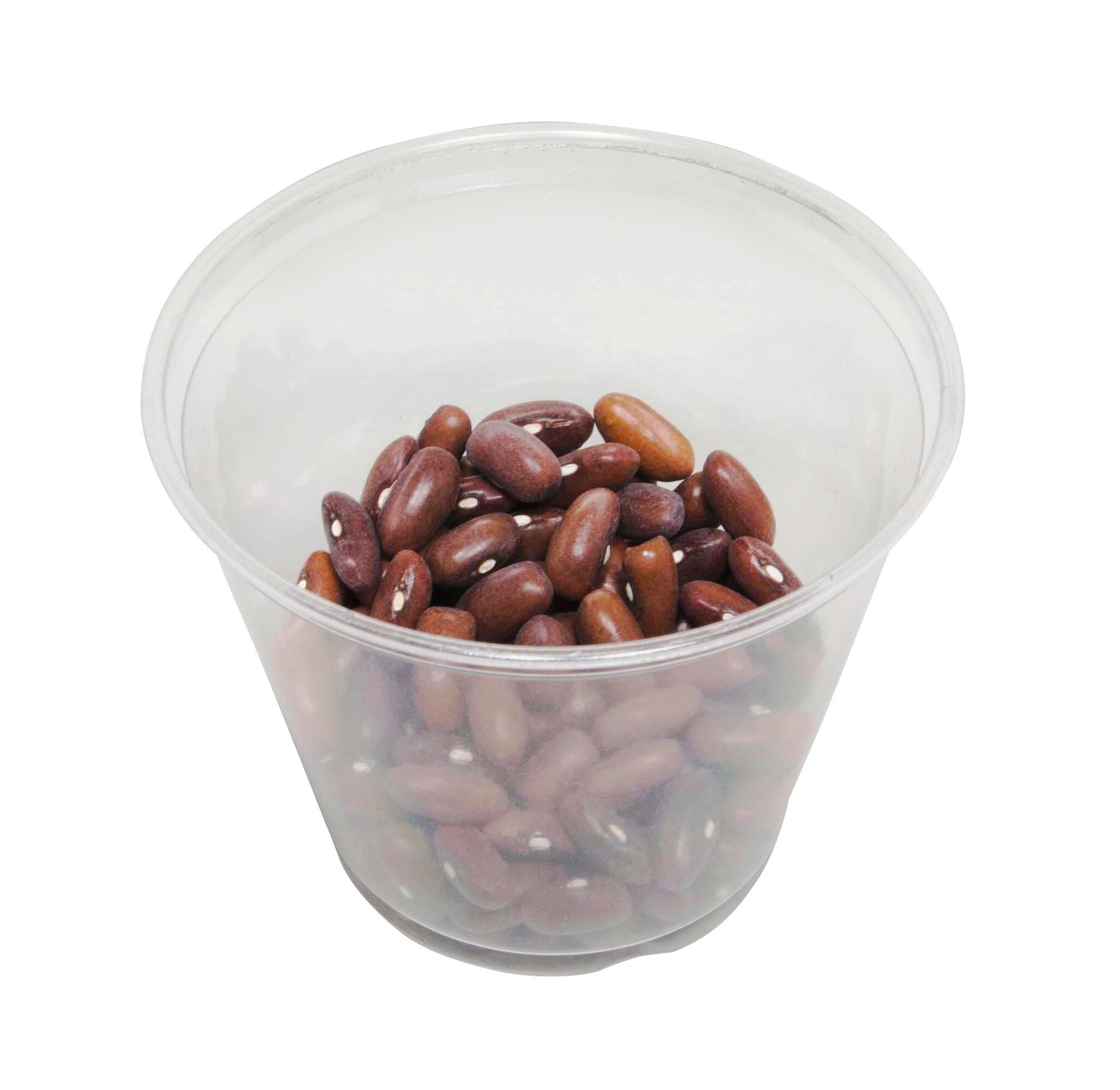 SEEDS BUSH BEAN 2 1/4 OZ.1 PKG