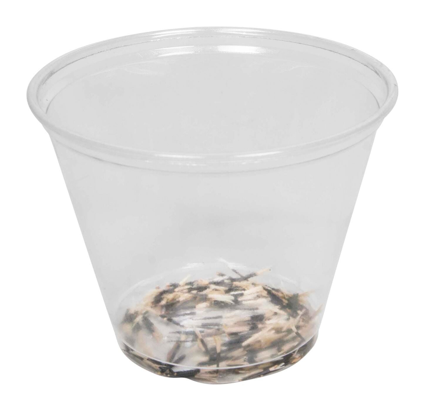 SEEDS MARIGOLD 1 PKG