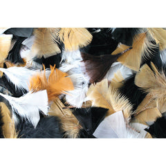 Natural Feathers 50G
