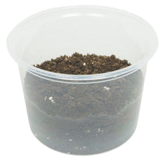 SOIL POTTING 4 L BAGGED