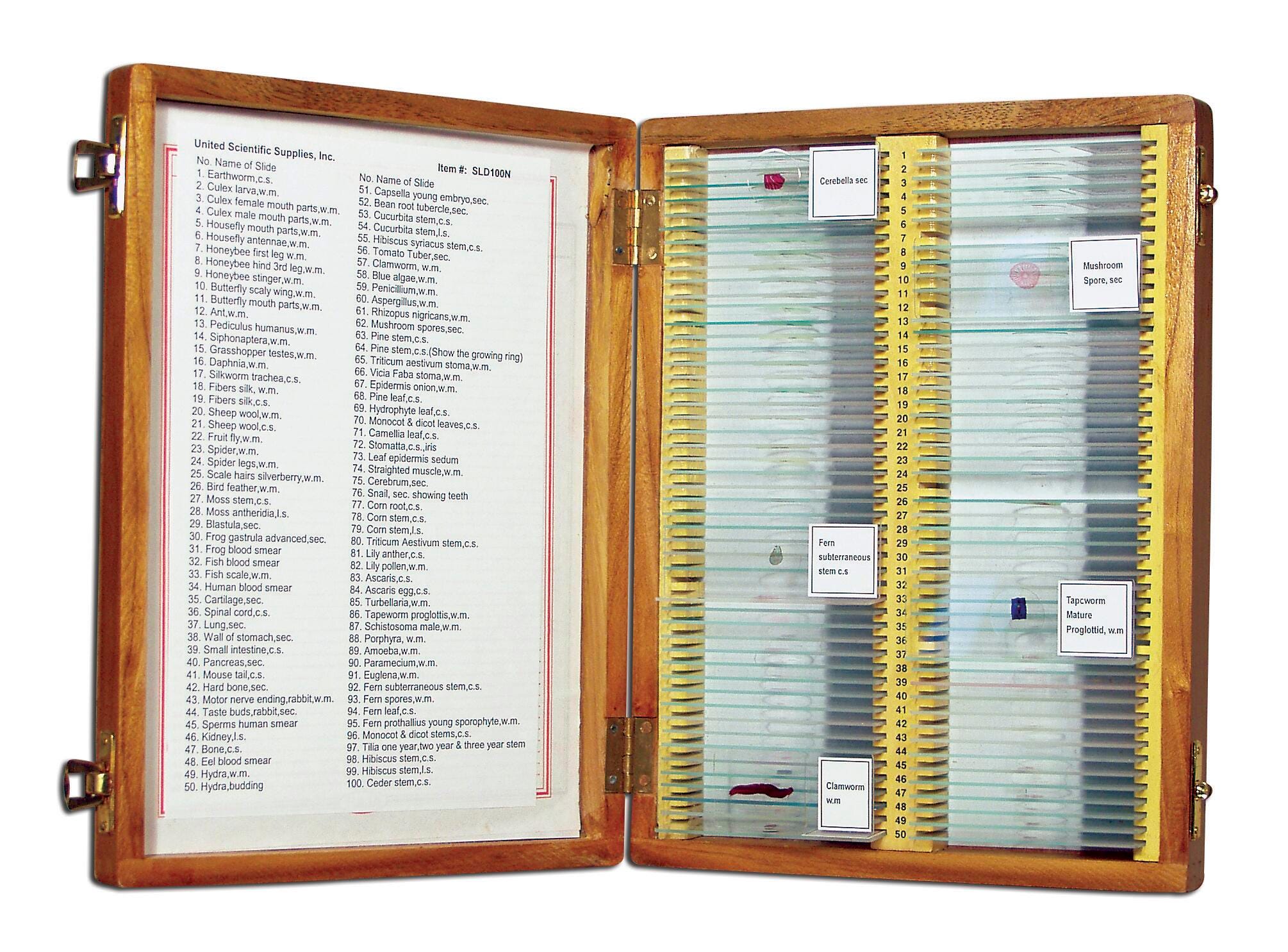 SLIDES PREPARED SET 100