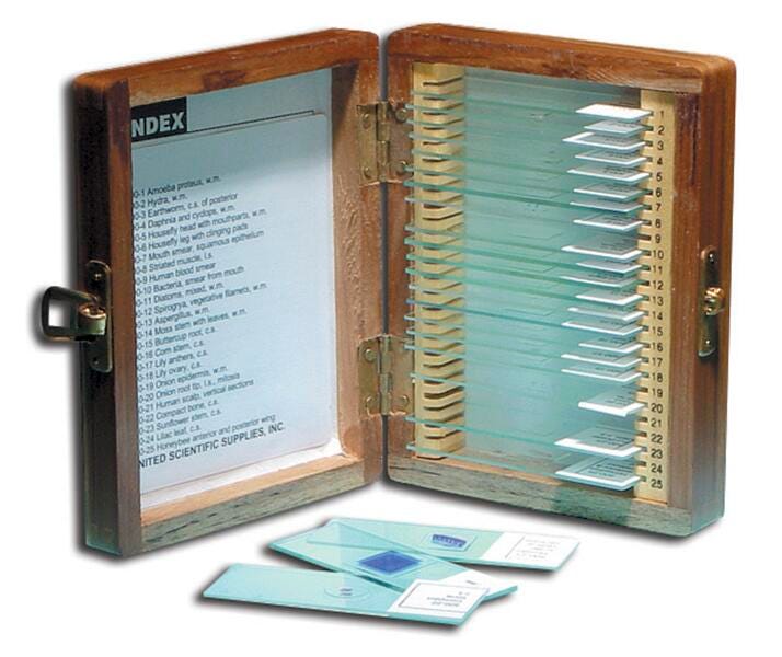 SLIDES PREPARED BASIC S/25