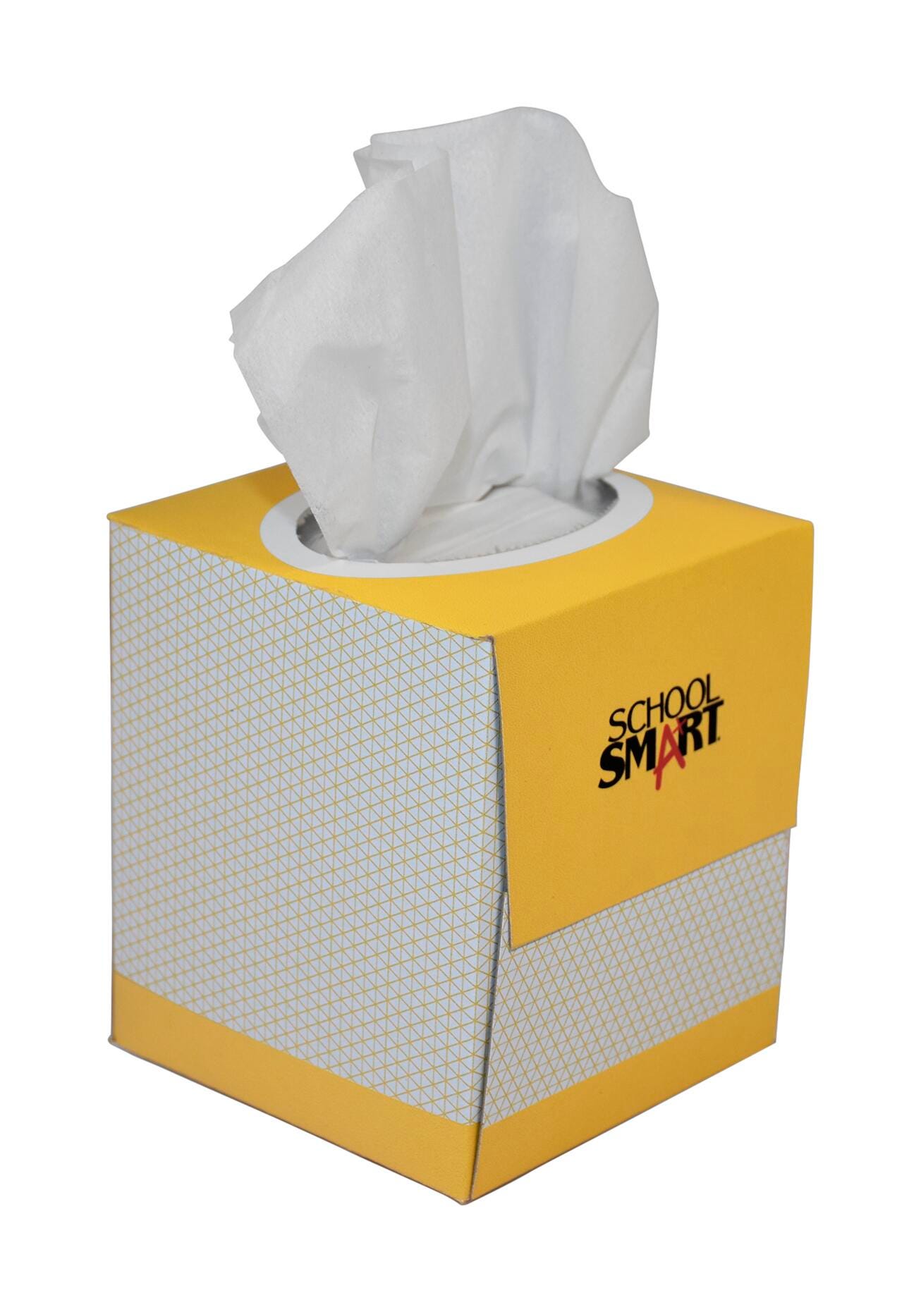 TISSUE FACIAL - SCHOOL SMART - 2 PLY ENVIRONMENTAL - 85 COUNT - CASE OF 36