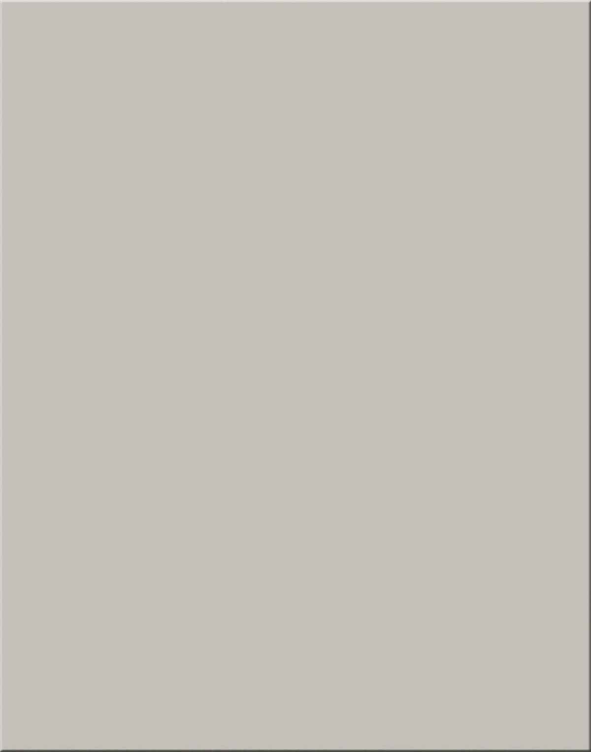 POSTER BOARD GRAY 22X28 PACK OF 25