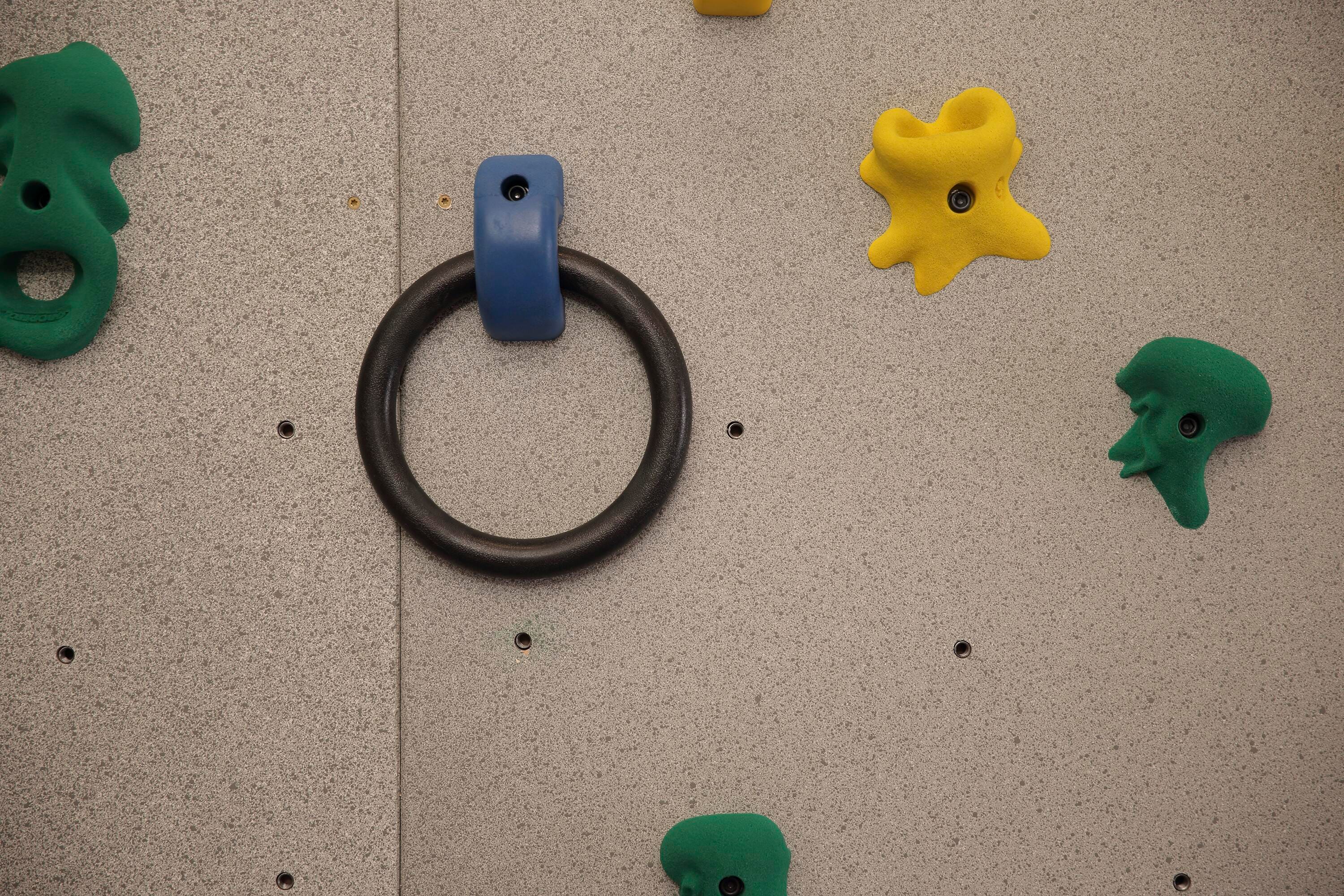 EVERLAST CLIMBING LOOP HOLDS