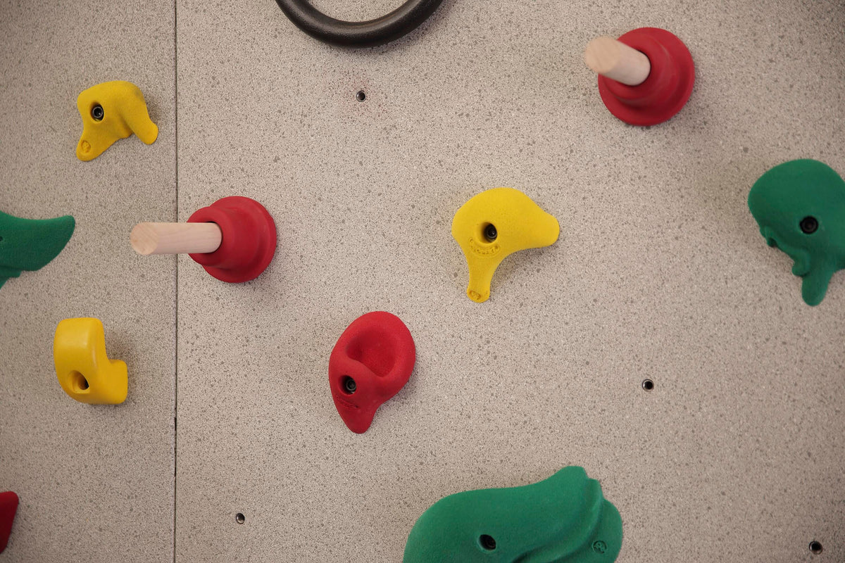 EVERLAST CLIMBING PEG HOLDS