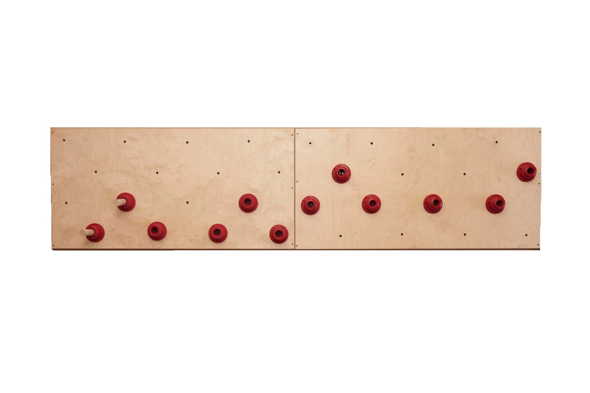 EVERLAST CLIMBING PEG BOARD