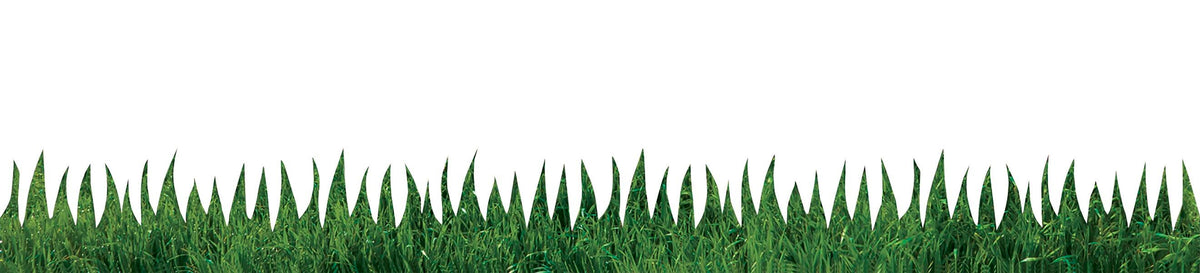 BORDER NATURAL GRASS 3X36 IN SET OF 12