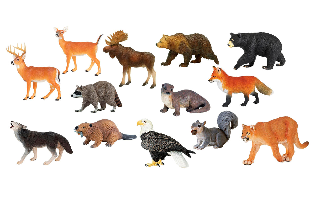 NORTH AMERICAN ANIMALS - SET OF 13