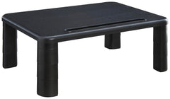 RISER - MONITOR - ADJ - LLR99991