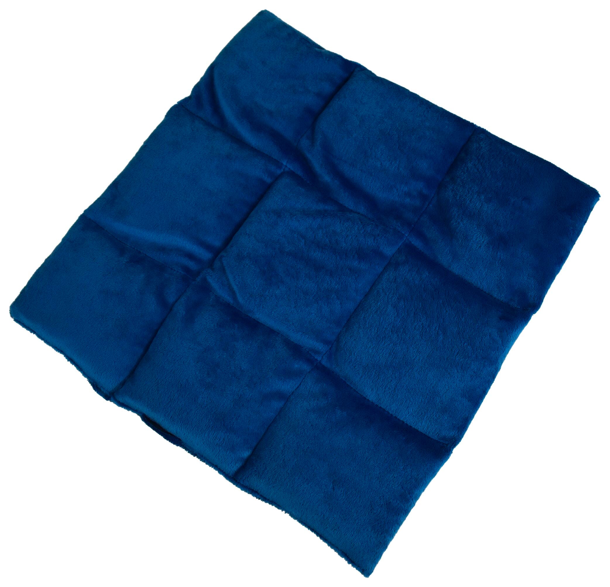 ABILITATIONS WEIGHTED LAP PAD - BABY FABRIC LARGE