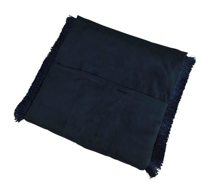 ABILITATIONS PILLOW COVER - BLUE