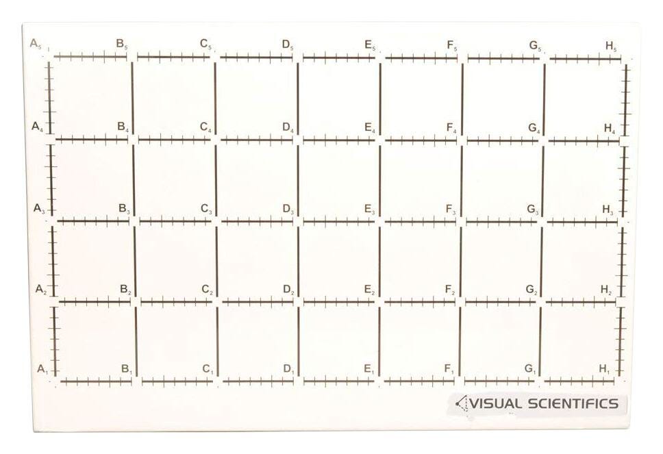 BACKBOARD VISUAL SCIENTIFIC