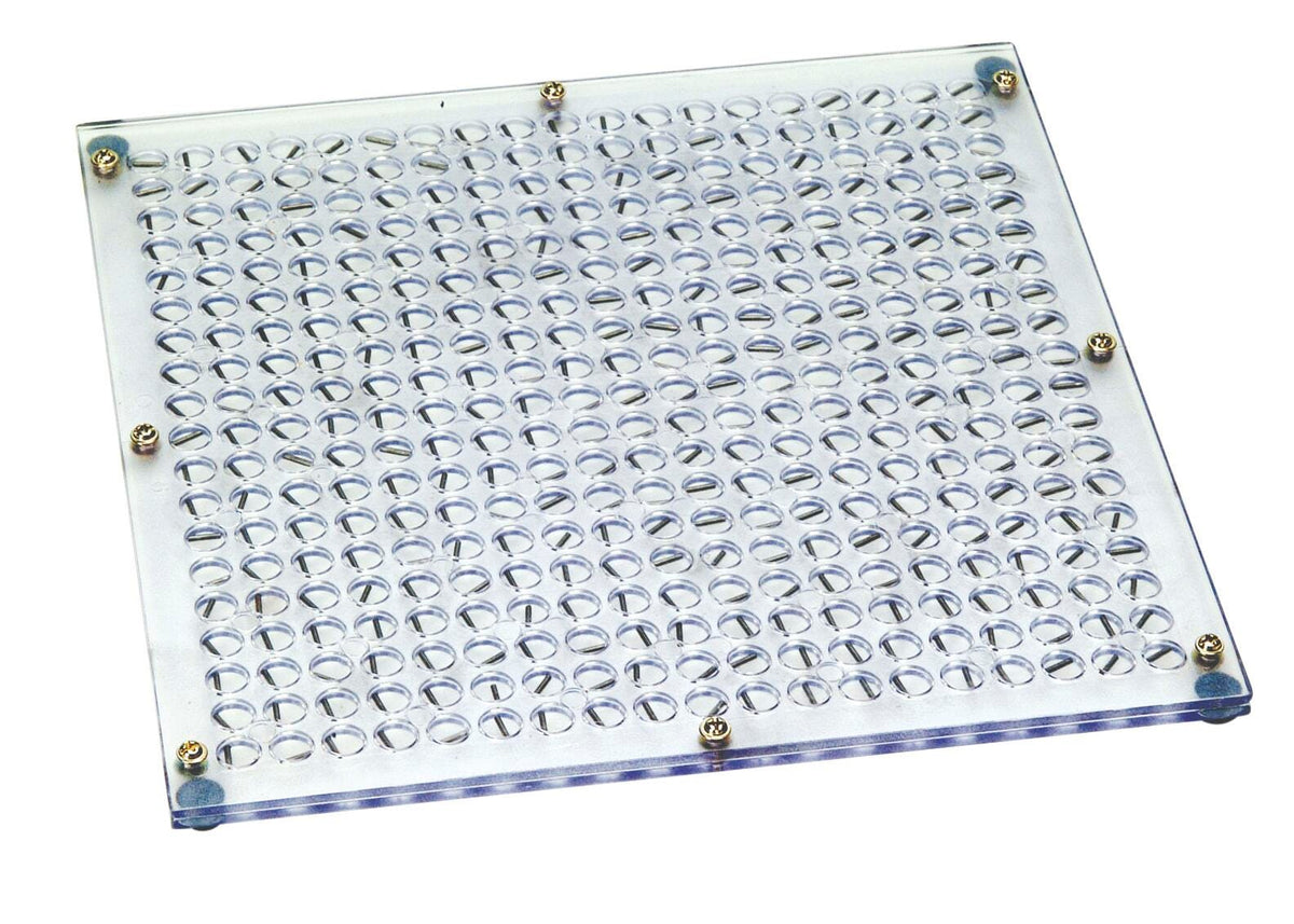 PLATE DEMONSTRATION MAGNETIC FIELD