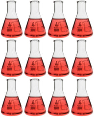 FLASK ERLENMEYER GLASS NARROW NECK 100ML PACK OF 12