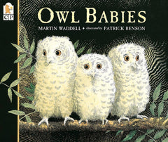 BOOK OWL BABIES