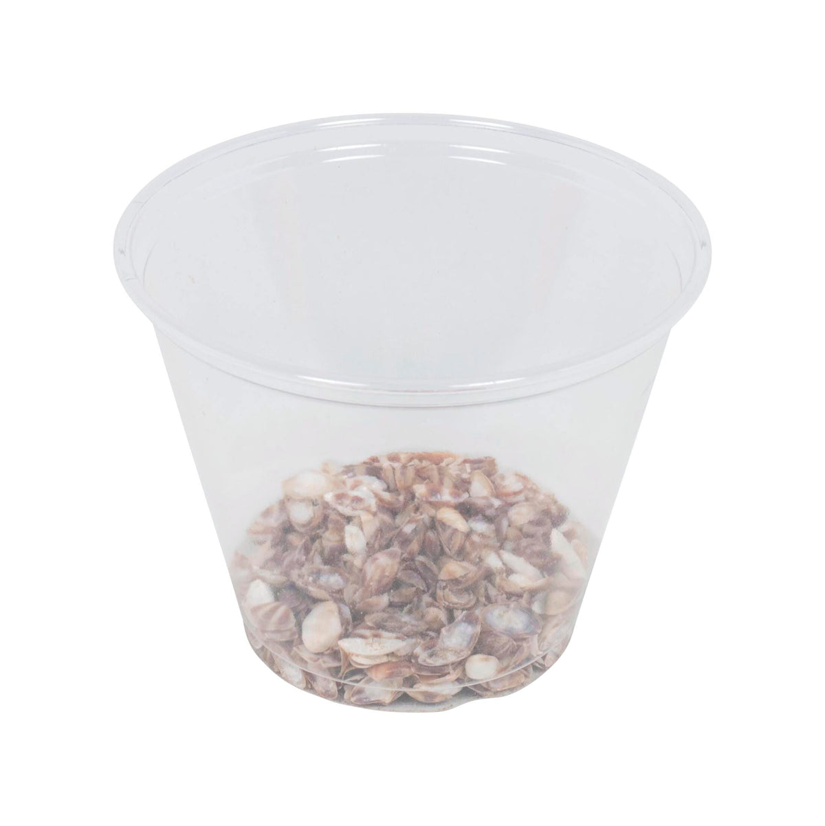 SHELL PIECES 1/2 LITER