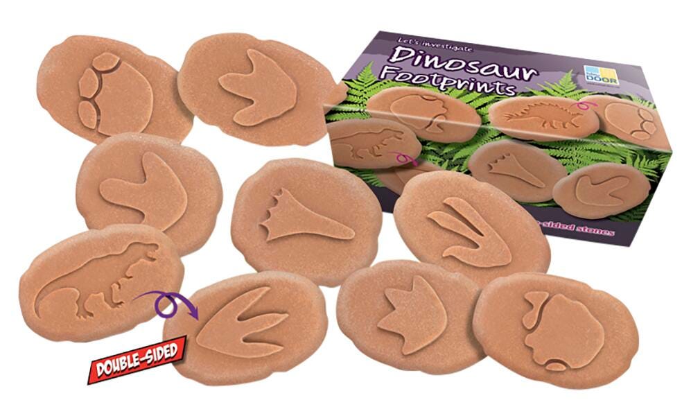 FOOTPRINTS INVESTIGATE DINOSAUR