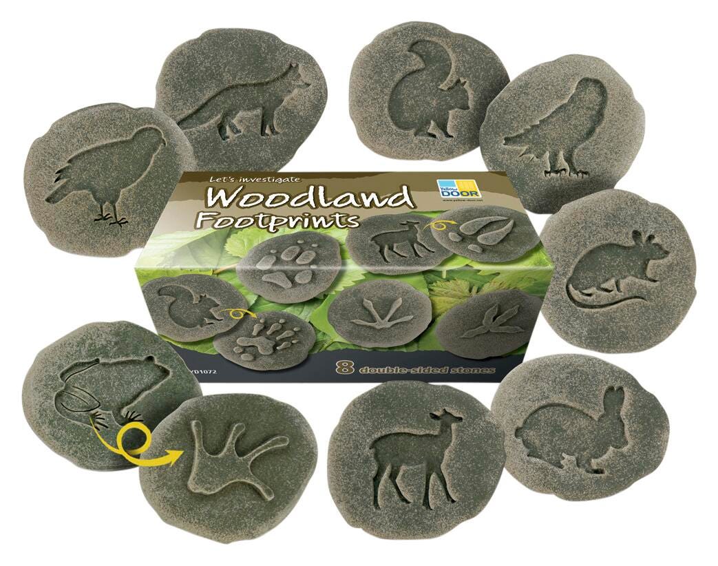 FOOTPRINTS INVESTIGATE WOODLAND