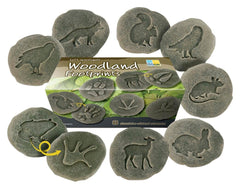 FOOTPRINTS INVESTIGATE WOODLAND