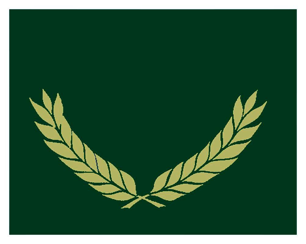 CERTIFICATE FOLDERS-GREEN GOLD FOIL STAMPLED 30 PACK