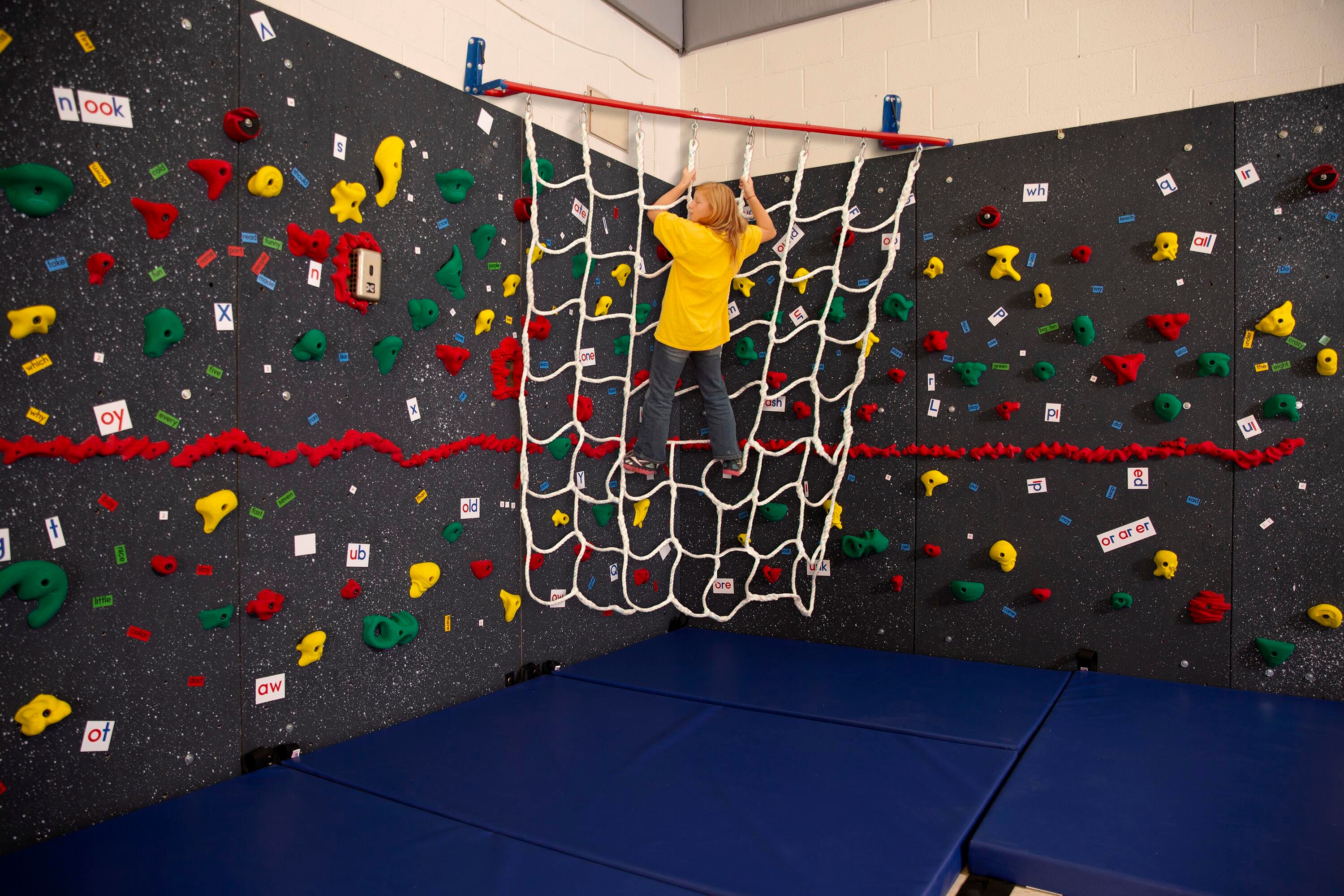 SAFARI JUNGLE GYM - WILD WEB PKG WITH 2 INCH MAT